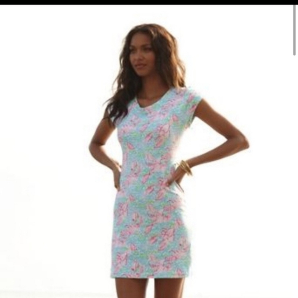 Lilly Pulitzer westerly lobster roll dress